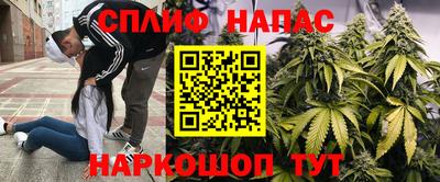 Альфа ПВП Лениногорск